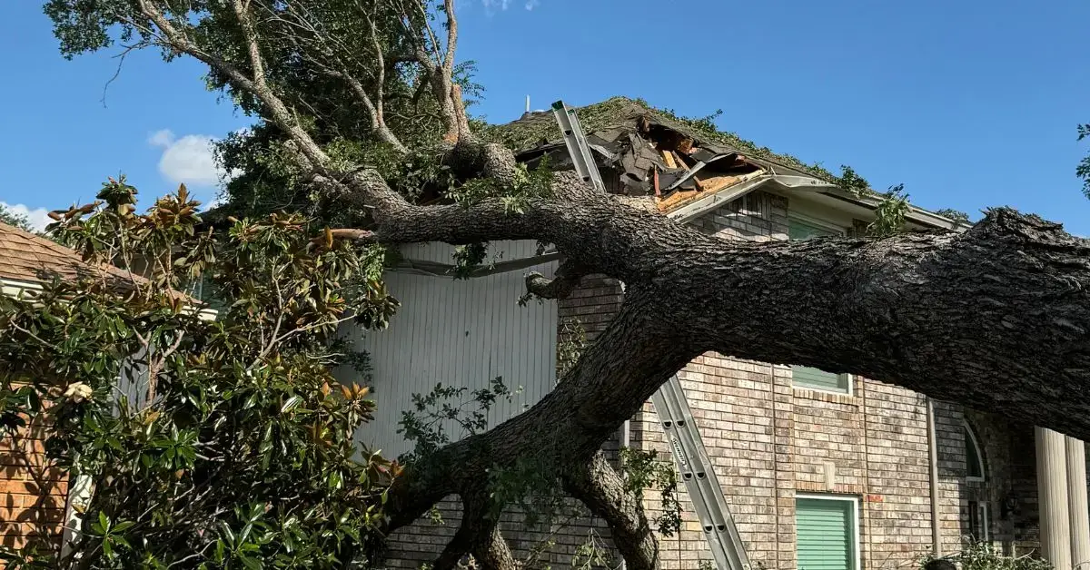 Emergency Tree Service: When Nature Strikes, Are You Ready?