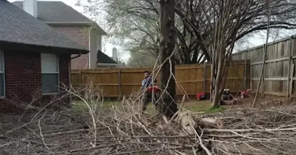 Emergency Tree Service Lewisville, TX