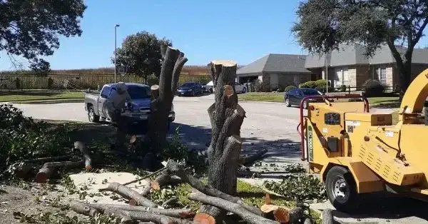 emergency tree service McKinney tx