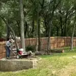 Proactive Tree Maintenance