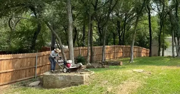 Proactive Tree Maintenance