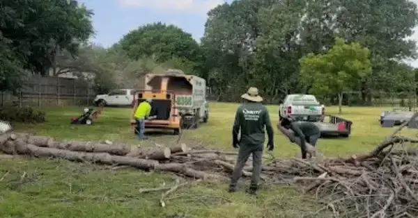 Emergency Tree Service in Coppell, TX